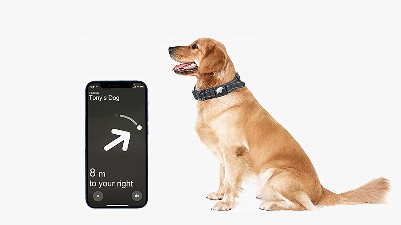 Image: Tracking a dog with an AirTag.